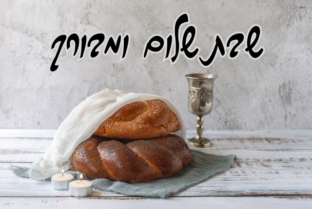 עלונים / גליונות לפרשת כי תצא תשפ”ד | להורדה ישירה